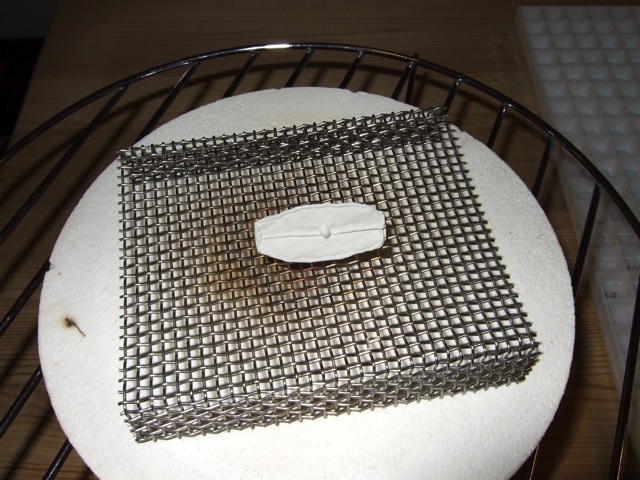 Loading Image