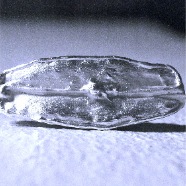 DSCF4559
