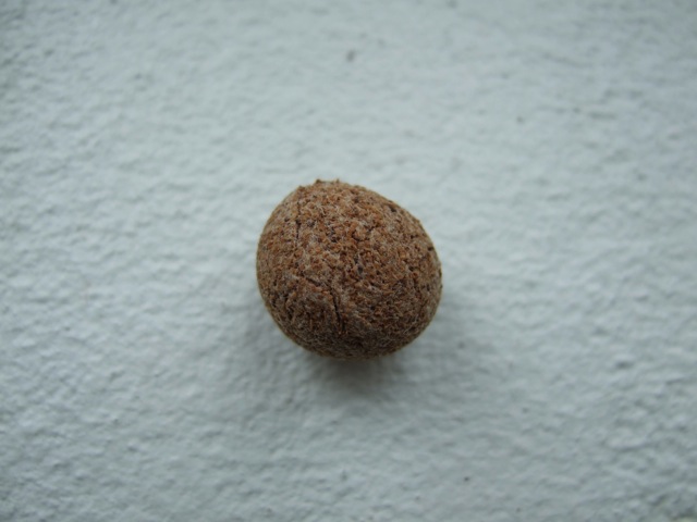 Loading Image