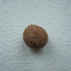DSCF3948